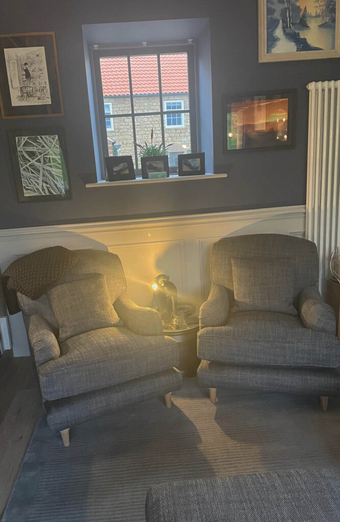 Lewes Armchairs in Newport greys fabric. Pictured in customers chic living room and library.